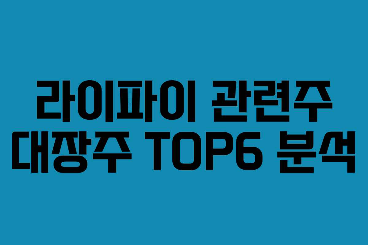 라이파이 관련주 대장주 TOP6 분석