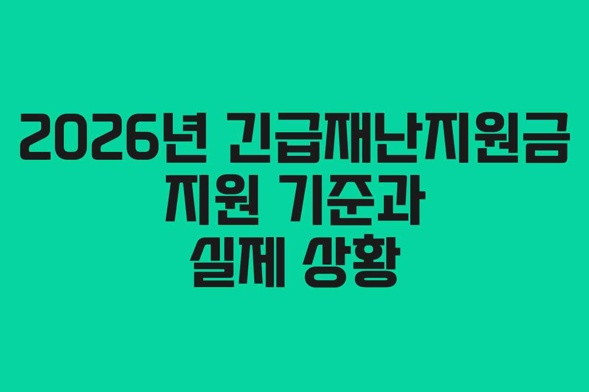 2026년 긴급재난지원금 지원 기준과 실제 상황