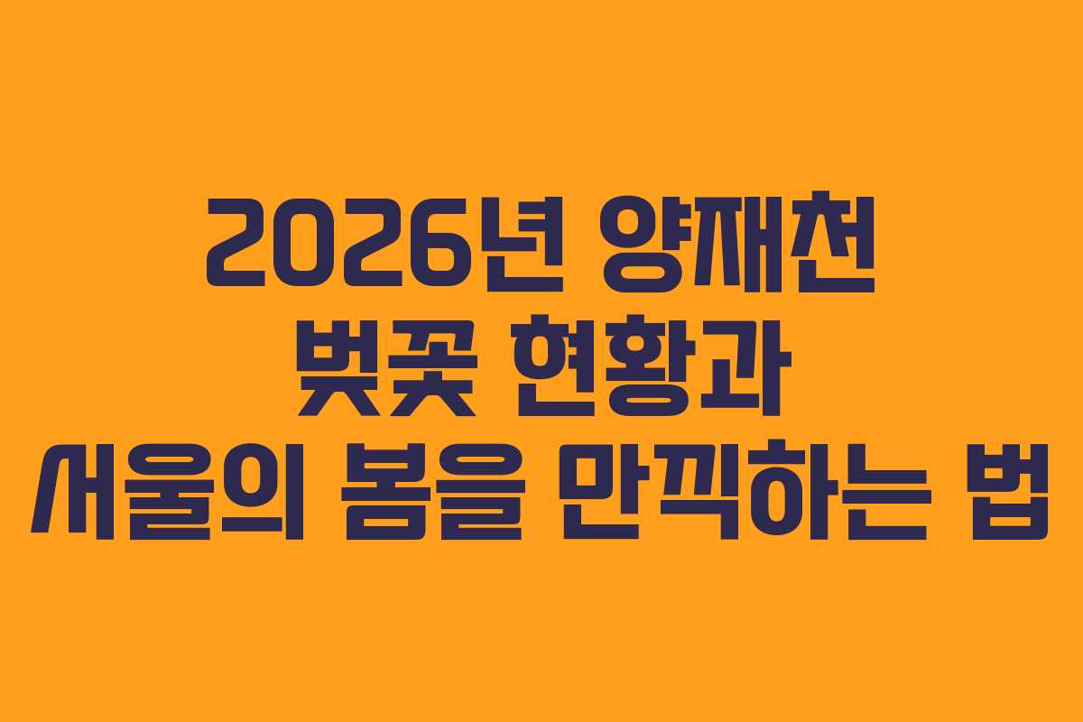 2026년 양재천 벚꽃 현황과 서울의 봄을 만끽하는 법