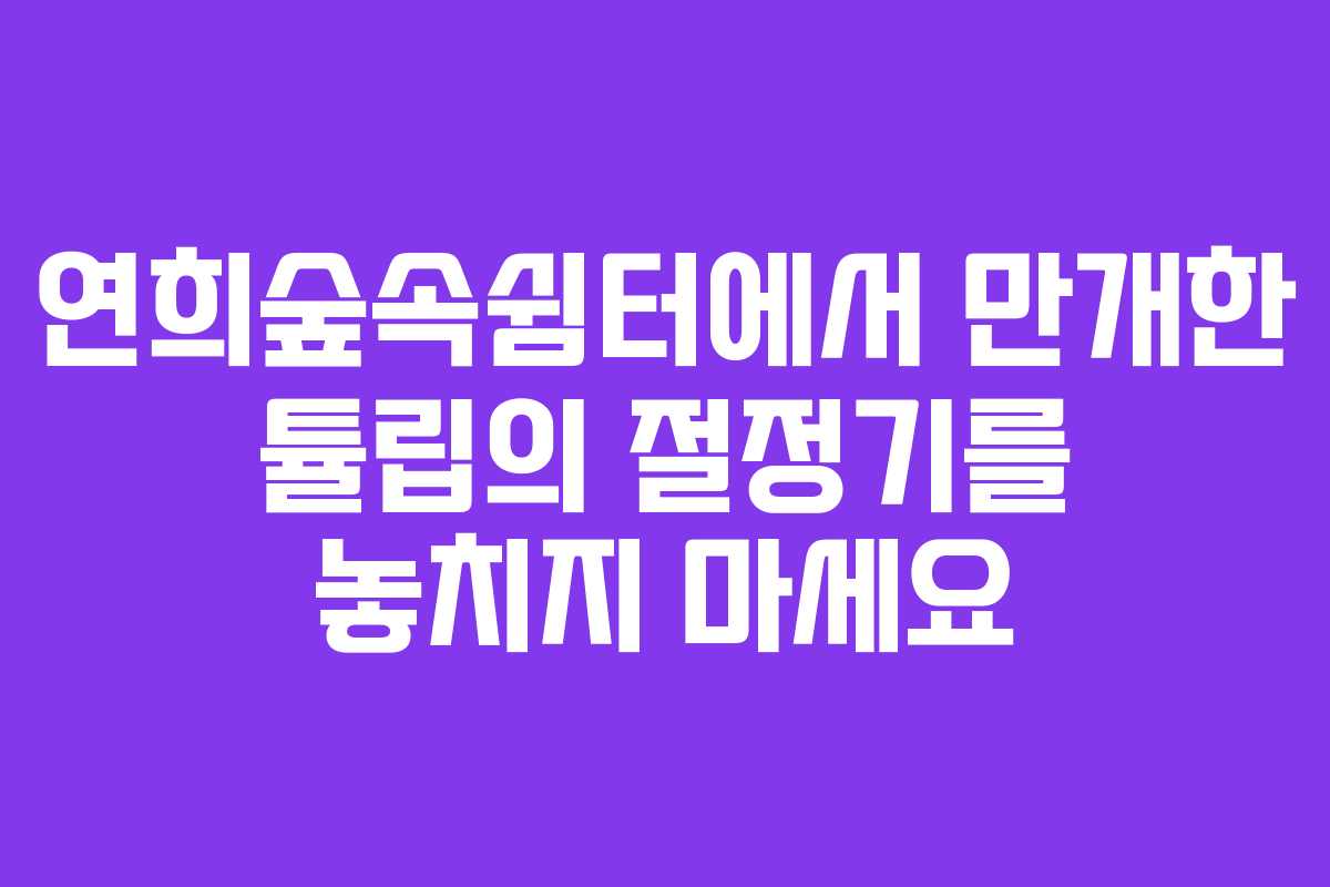 연희숲속쉼터에서 만개한 튤립의 절정기를 놓치지 마세요