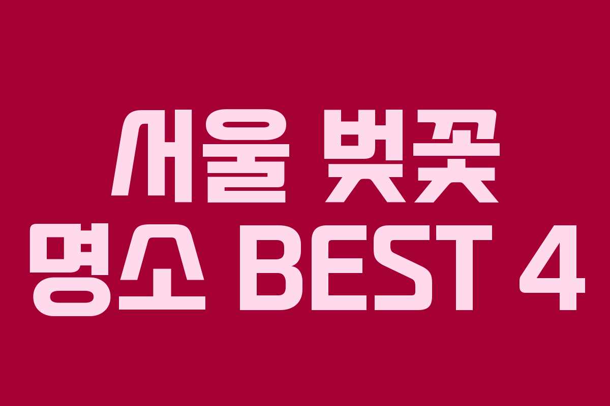 서울 벚꽃 명소 BEST 4