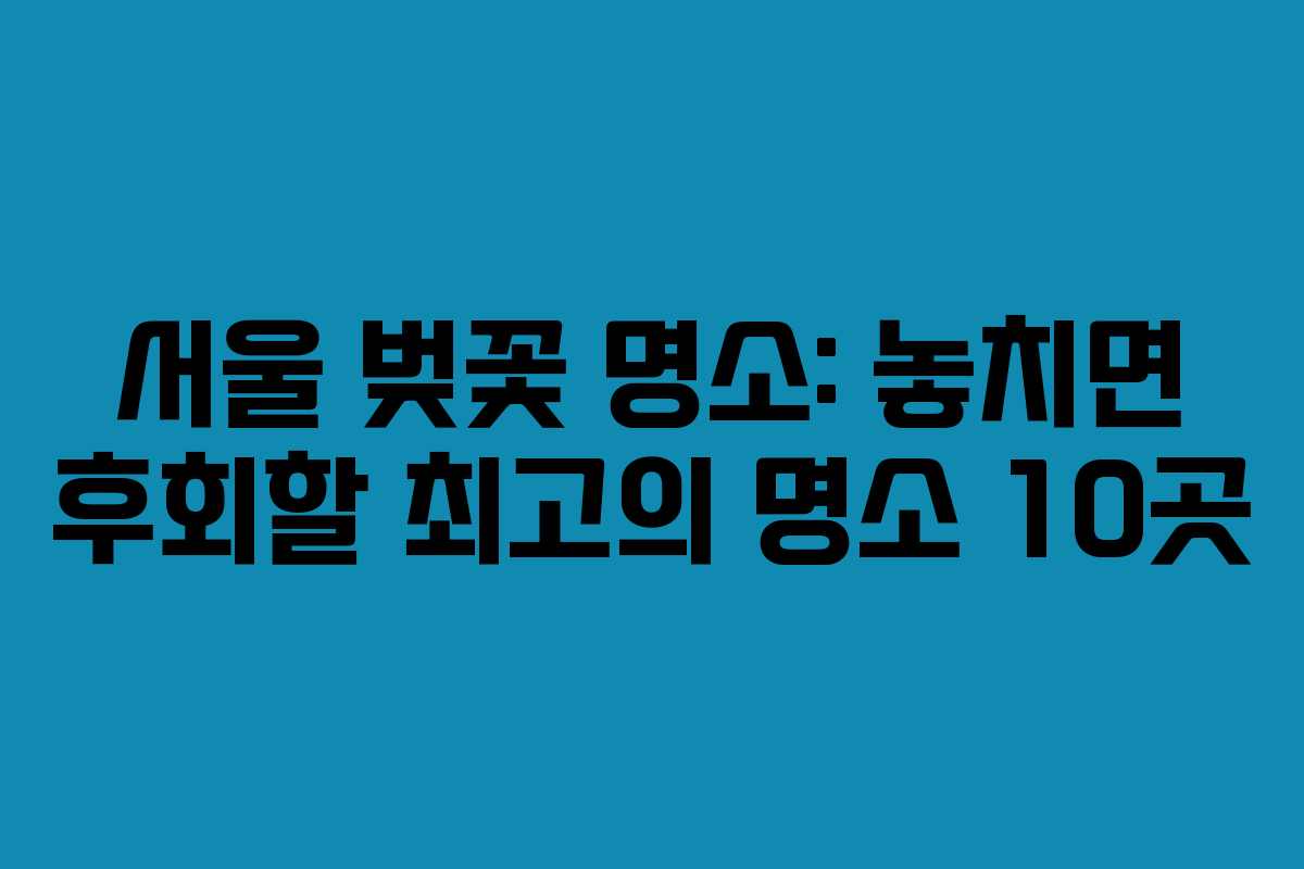 서울 벚꽃 명소: 놓치면 후회할 최고의 명소 10곳