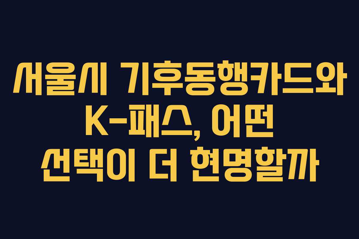 서울시 기후동행카드와 K-패스, 어떤 선택이 더 현명할까