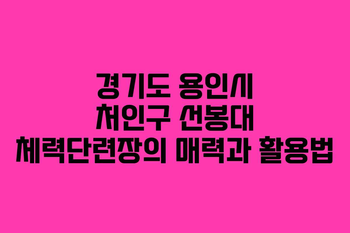 경기도 용인시 처인구 선봉대 체력단련장의 매력과 활용법