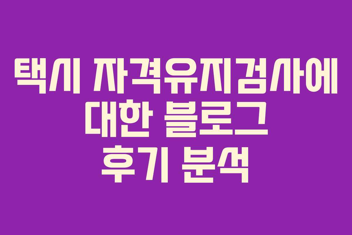 택시 자격유지검사에 대한 블로그 후기 분석