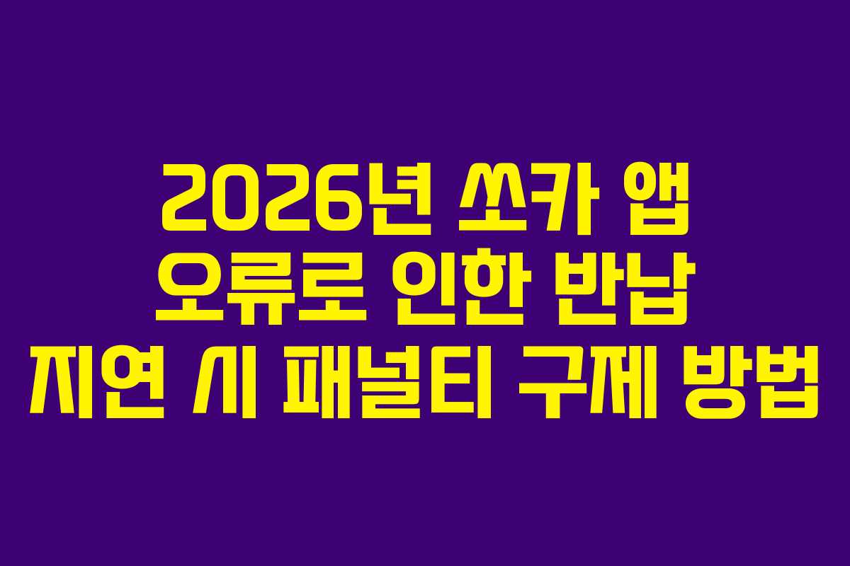 2026년 쏘카 앱 오류로 인한 반납 지연 시 패널티 구제 방법