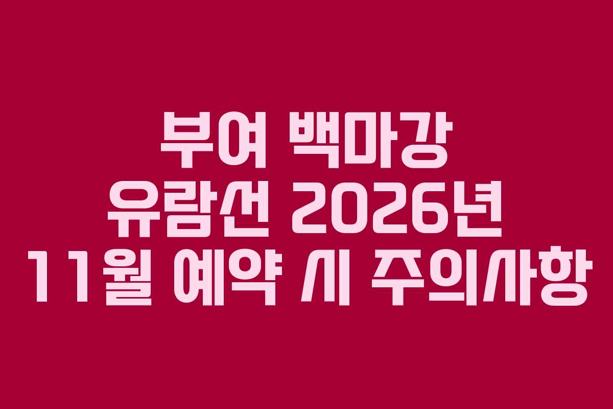 부여 백마강 유람선 2026년 11월 예약 시 주의사항