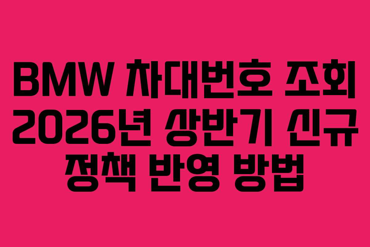BMW 차대번호 조회 2026년 상반기 신규 정책 반영 방법