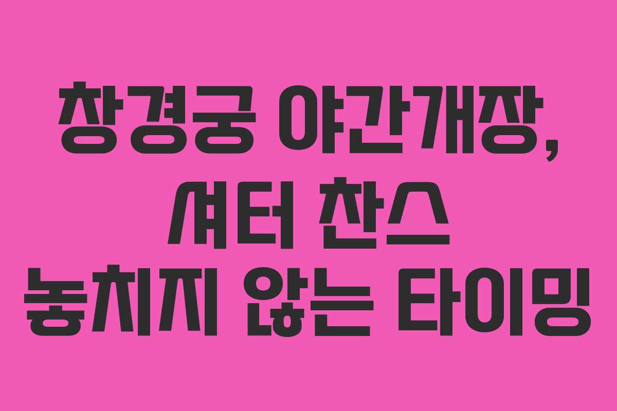 창경궁 야간개장, 셔터 찬스 놓치지 않는 타이밍