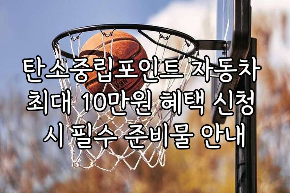탄소중립포인트 자동차 최대 10만원 혜택 신청 시 필수 준비물 안내