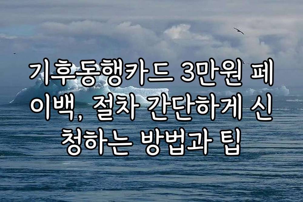 기후동행카드 3만원 페이백, 절차 간단하게 신청하는 방법과 팁