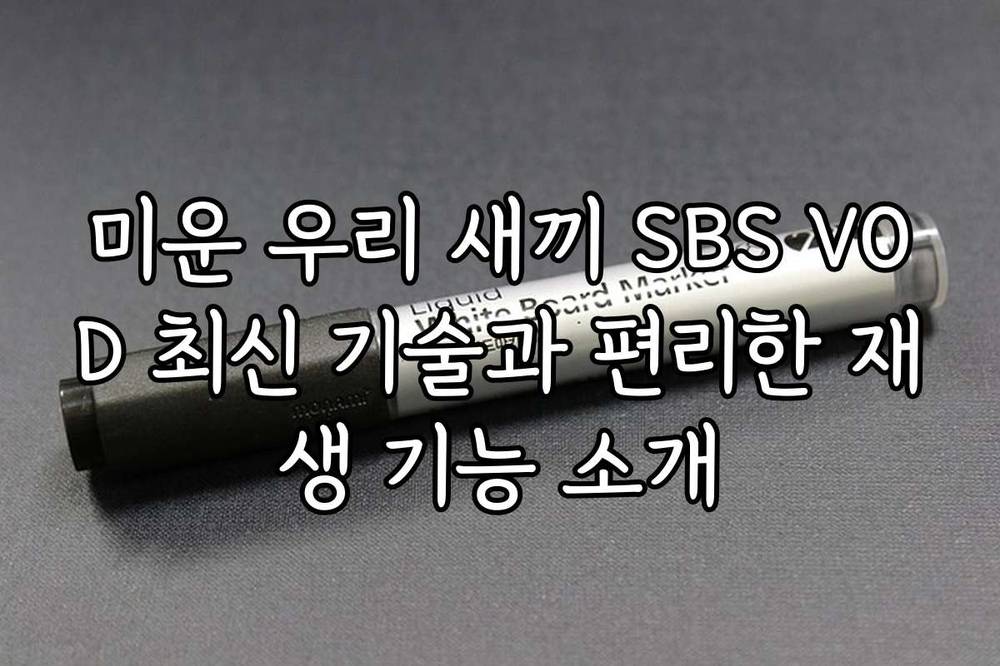 미운 우리 새끼 SBS VOD 최신 기술과 편리한 재생 기능 소개