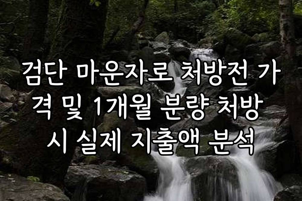 검단 마운자로 처방전 가격 및 1개월 분량 처방 시 실제 지출액 분석