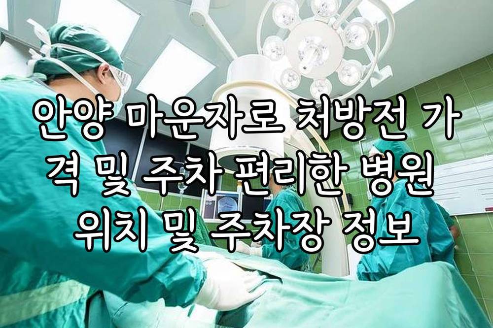안양 마운자로 처방전 가격 및 주차 편리한 병원 위치 및 주차장 정보