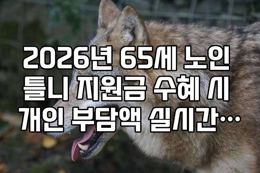 2026년 65세 노인 틀니 지원금 수혜 시 개인 부담액 실시간 계산 방법