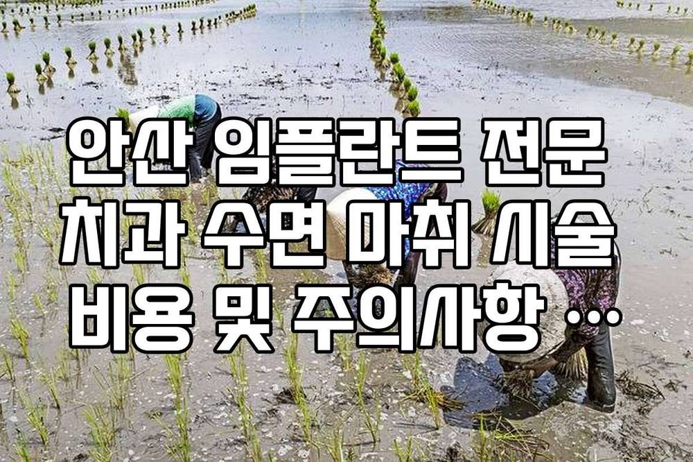 안산 임플란트 전문 치과 수면 마취 시술 비용 및 주의사항 정리