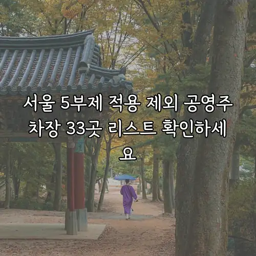 서울 5부제 적용 제외 공영주차장 33곳 리스트 확인하세요