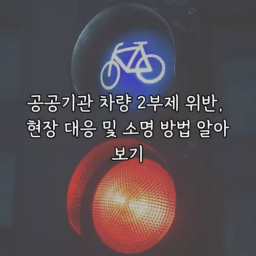 공공기관 차량 2부제 위반, 현장 대응 및 소명 방법 알아보기