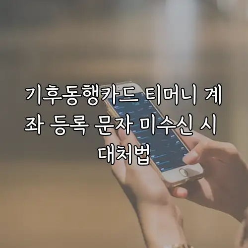 기후동행카드 티머니 계좌 등록 문자 미수신 시 대처법