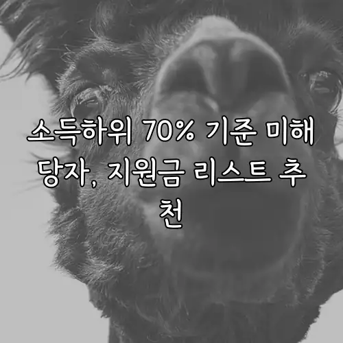소득하위 70% 기준 미해당자, 지원금 리스트 추천