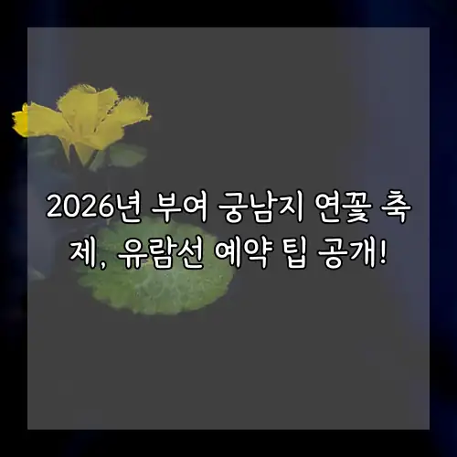 2026년 부여 궁남지 연꽃 축제, 유람선 예약 팁 공개!