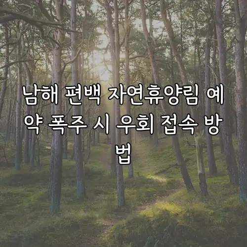 남해 편백 자연휴양림 예약 폭주 시 우회 접속 방법