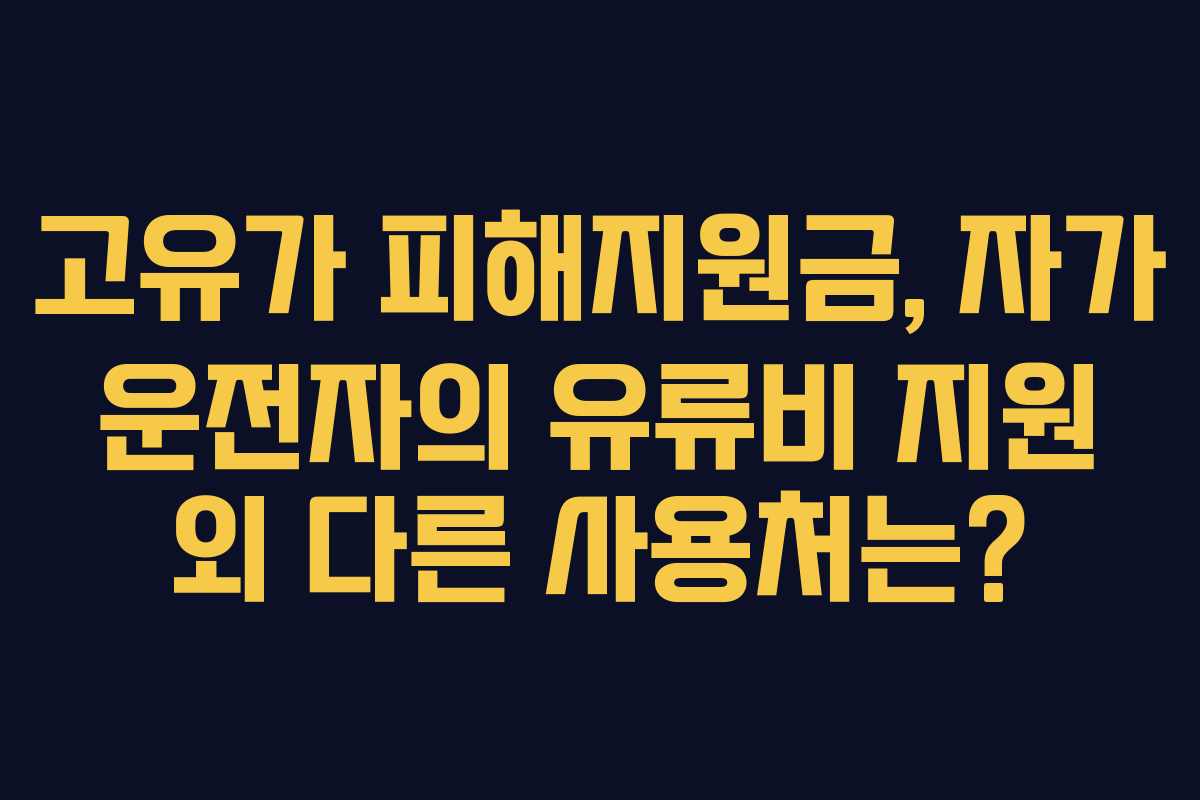 고유가 피해지원금, 자가 운전자의 유류비 지원 외 다른 사용처는?