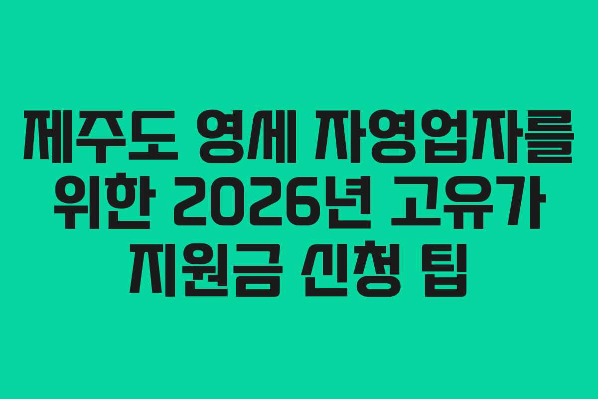 제주도 영세 자영업자를 위한 2026년 고유가 지원금 신청 팁
