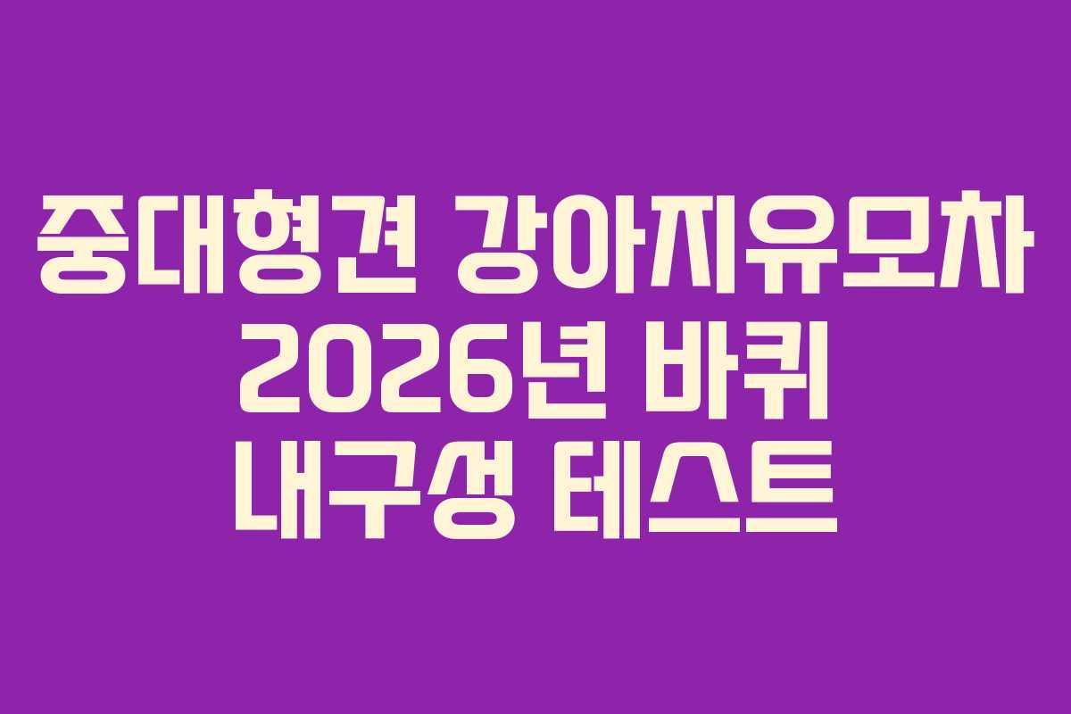 중대형견 강아지유모차 2026년 바퀴 내구성 테스트