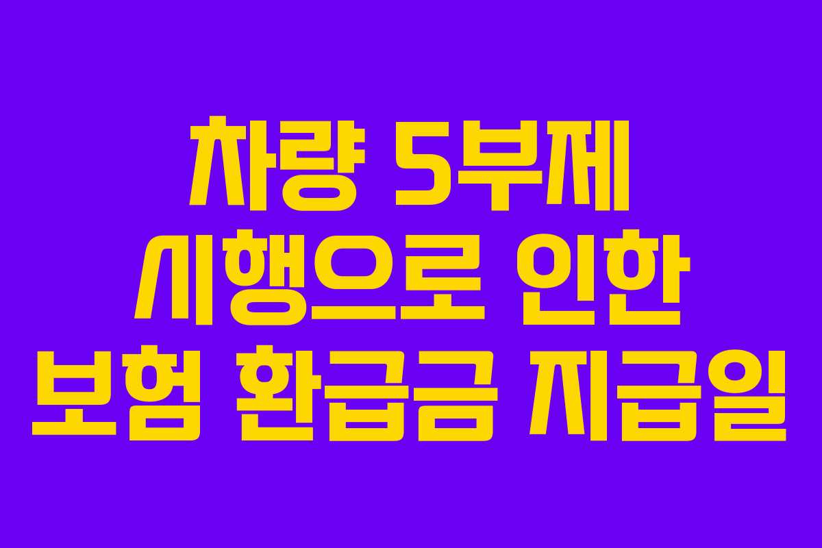 차량 5부제 시행으로 인한 보험 환급금 지급일