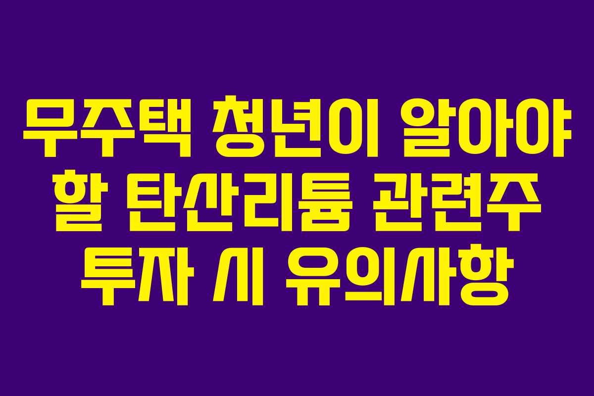 무주택 청년이 알아야 할 탄산리튬 관련주 투자 시 유의사항
