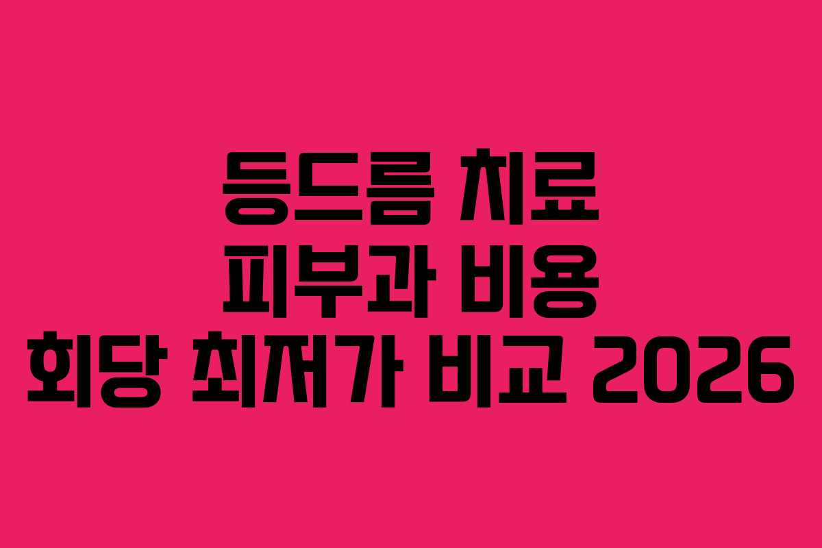 등드름 치료 피부과 비용 회당 최저가 비교 2026 등드름 치료 피부과 비용 회당 최저가 비교 2026