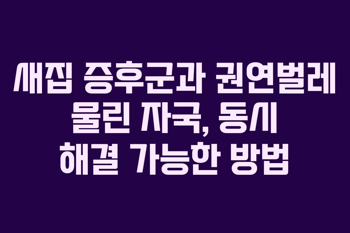 새집 증후군과 권연벌레 물린 자국, 동시 해결 가능한 방법