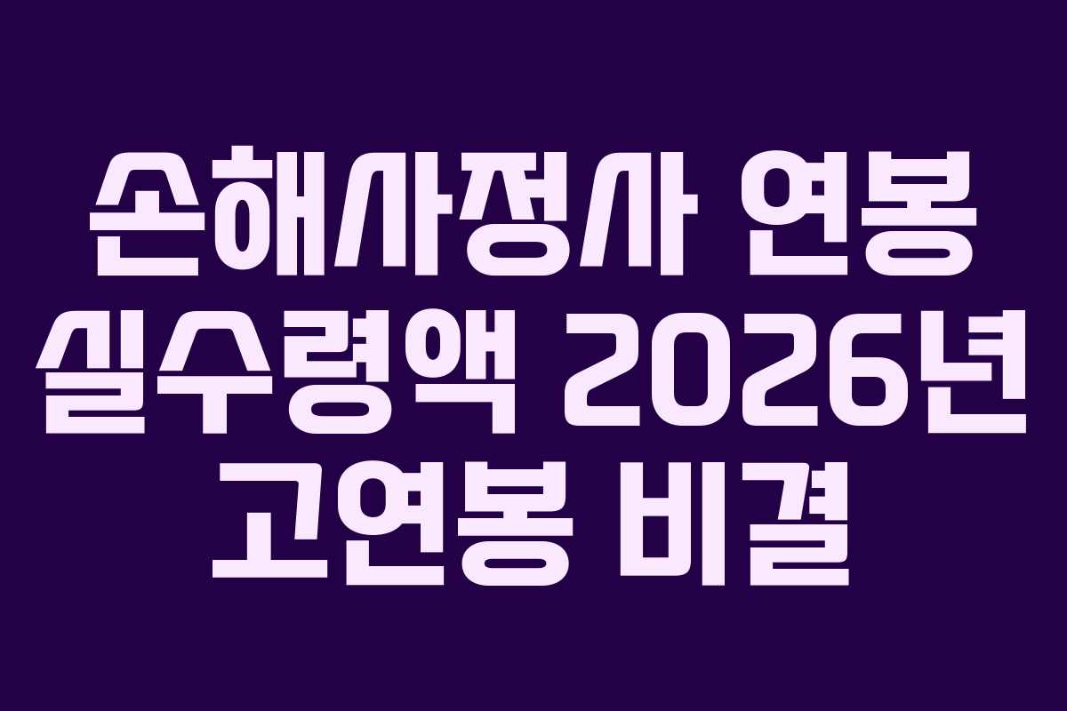 손해사정사 연봉 실수령액 2026년 고연봉 비결