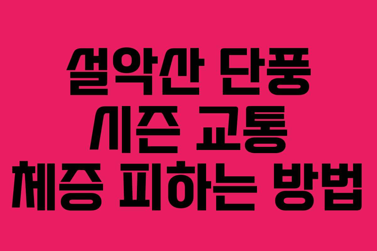 설악산 단풍 시즌 교통 체증 피하는 방법