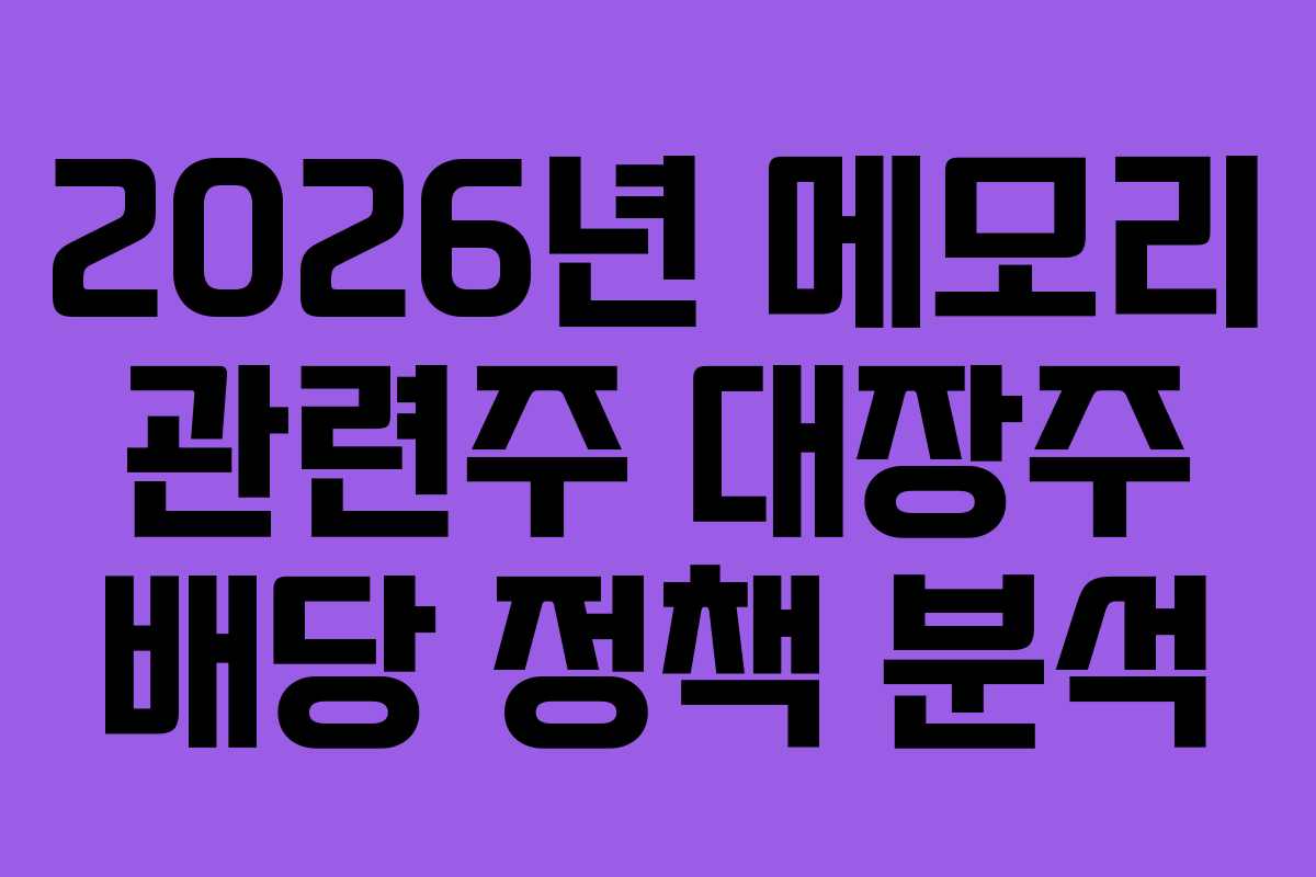 2026년 메모리 관련주 대장주 배당 정책 분석