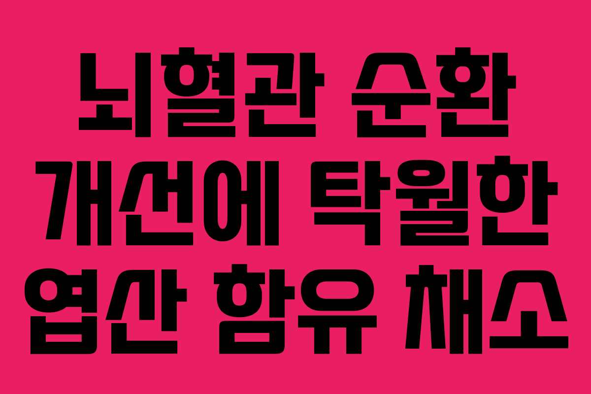 뇌혈관 순환 개선에 탁월한 엽산 함유 채소