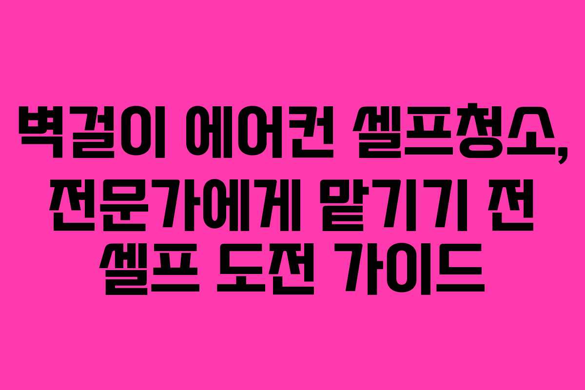 벽걸이 에어컨 셀프청소, 전문가에게 맡기기 전 셀프 도전 가이드