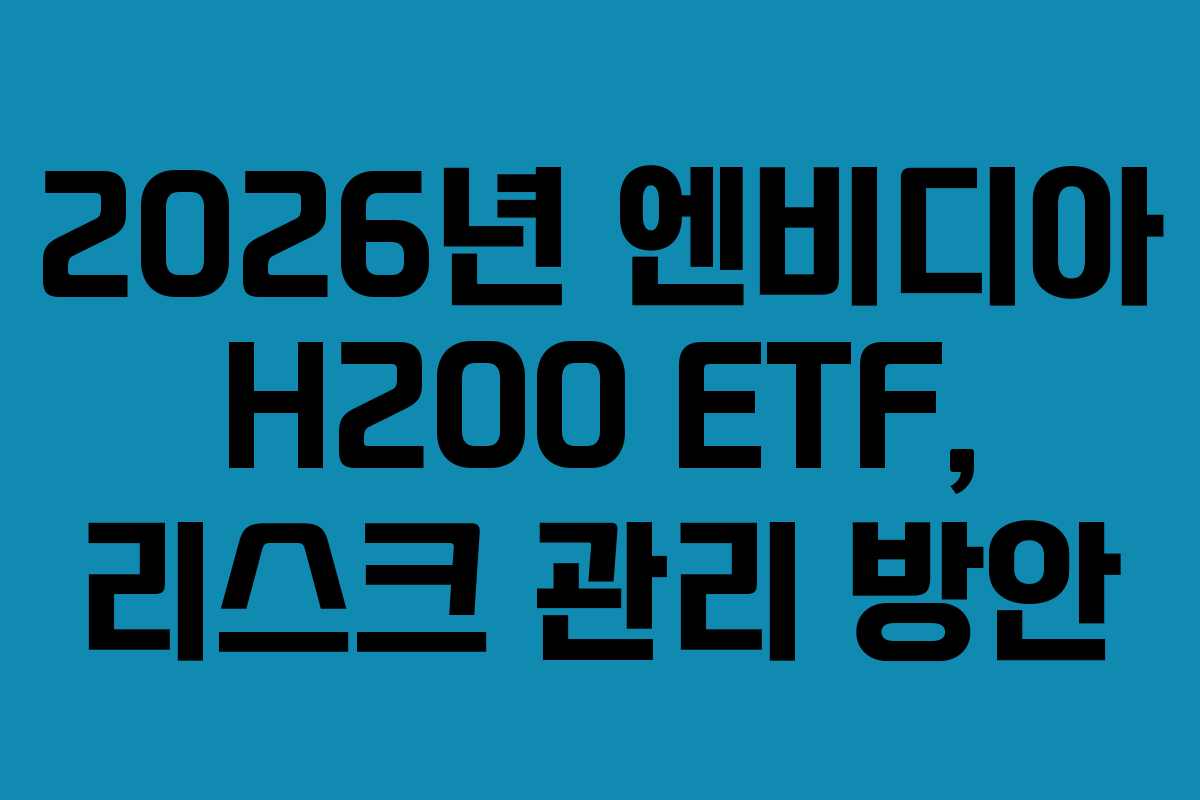 2026년 엔비디아 H200 ETF, 리스크 관리 방안