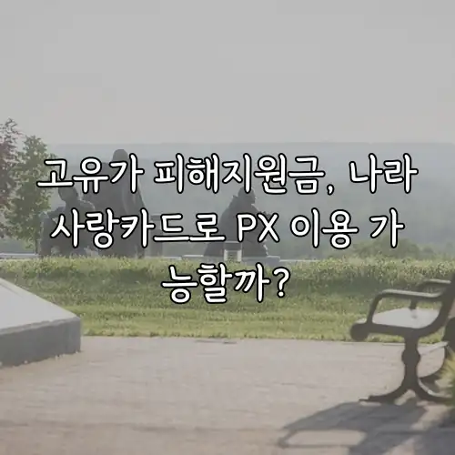 고유가 피해지원금, 나라사랑카드로 PX 이용 가능할까?