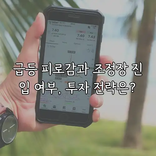 급등 피로감과 조정장 진입 여부, 투자 전략은?