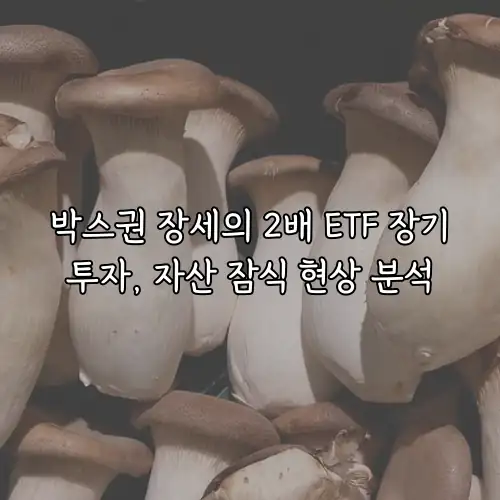 박스권 장세의 2배 ETF 장기투자, 자산 잠식 현상 분석
