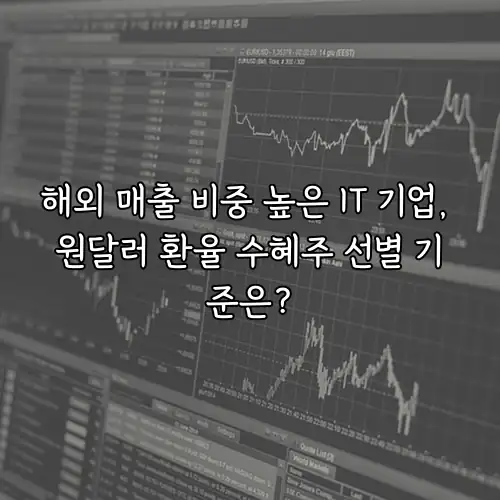 해외 매출 비중 높은 IT 기업, 원달러 환율 수혜주 선별 기준은?