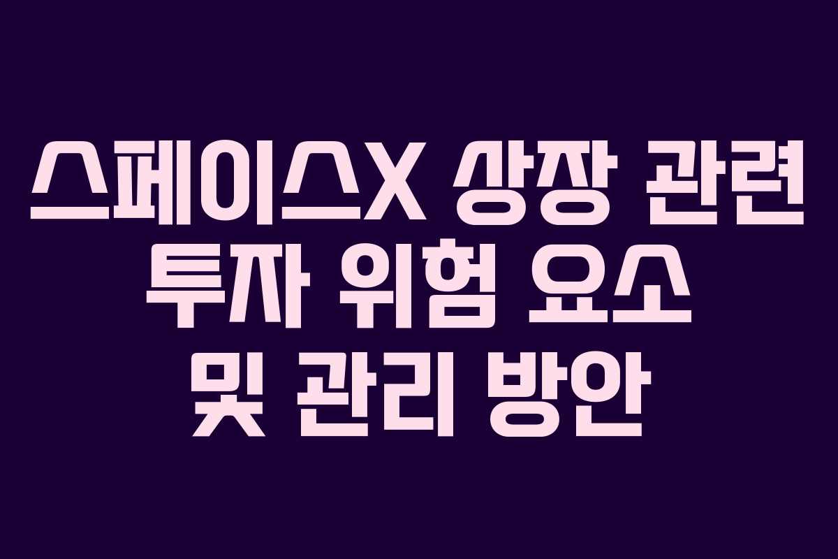 스페이스X 상장 관련 투자 위험 요소 및 관리 방안