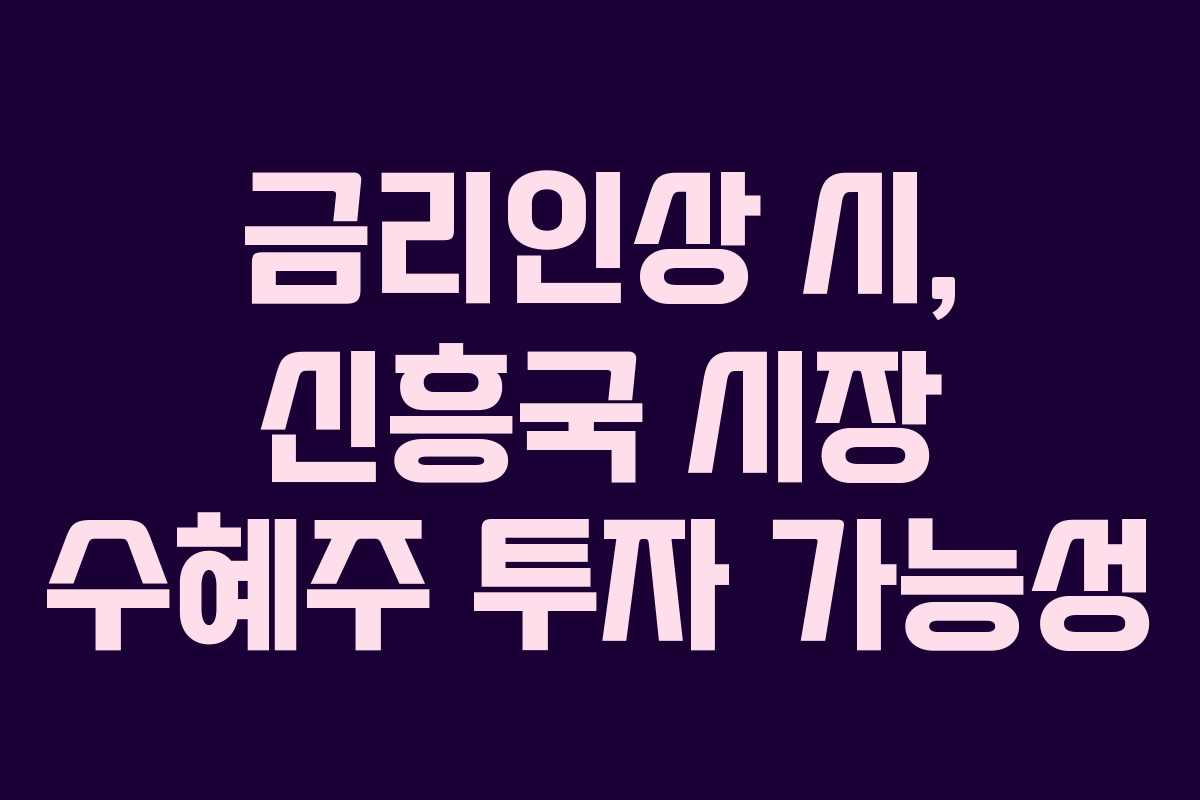 금리인상 시, 신흥국 시장 수혜주 투자 가능성