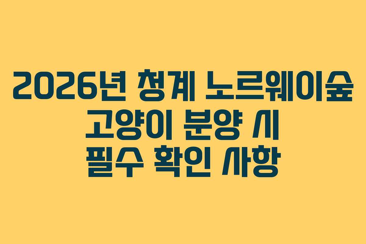 2026년 청계 노르웨이숲 고양이 분양 시 필수 확인 사항