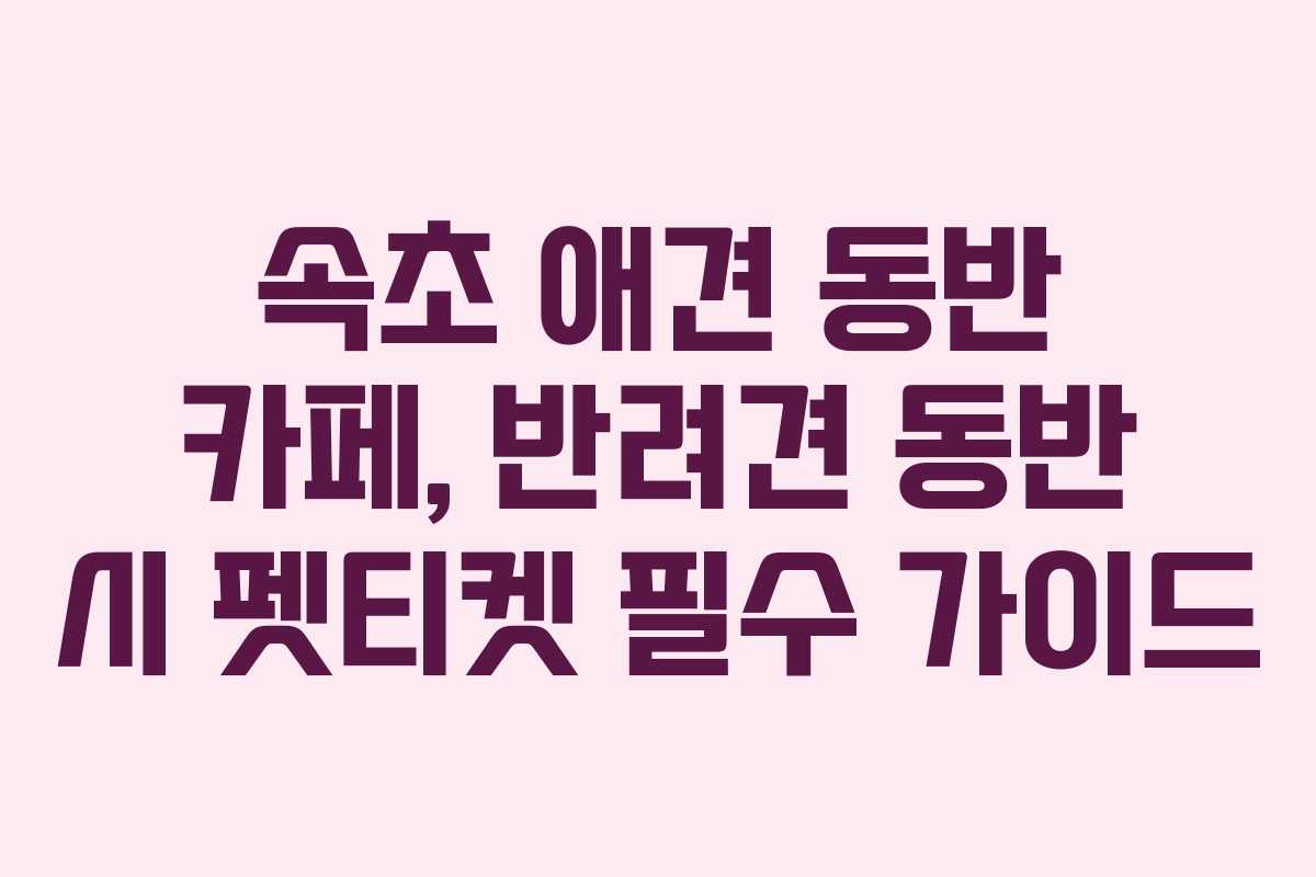 속초 애견 동반 카페, 반려견 동반 시 펫티켓 필수 가이드 속초 애견 동반 카페, 반려견 동반 시 펫티켓 필수 가이드