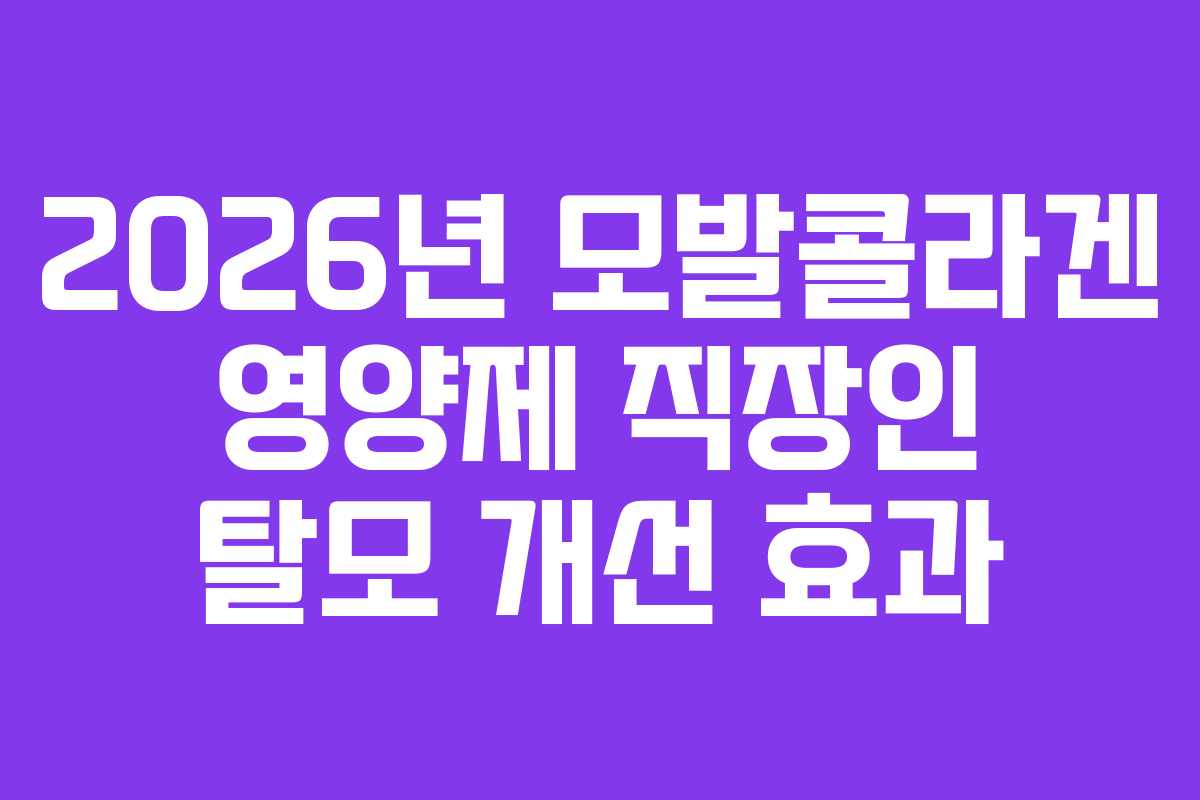 2026년 모발콜라겐 영양제 직장인 탈모 개선 효과